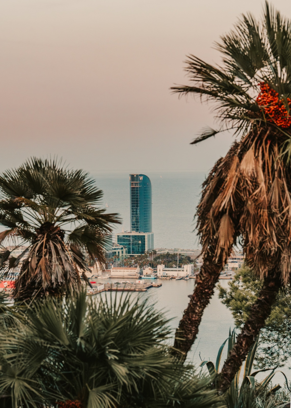 The W Hotel and the port seen between palm trees