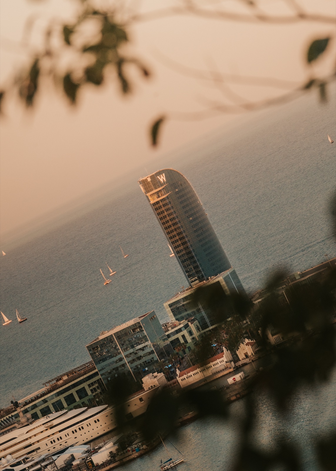 Barcelona’s waterfront and the sea, seen from Montjuïc through branches