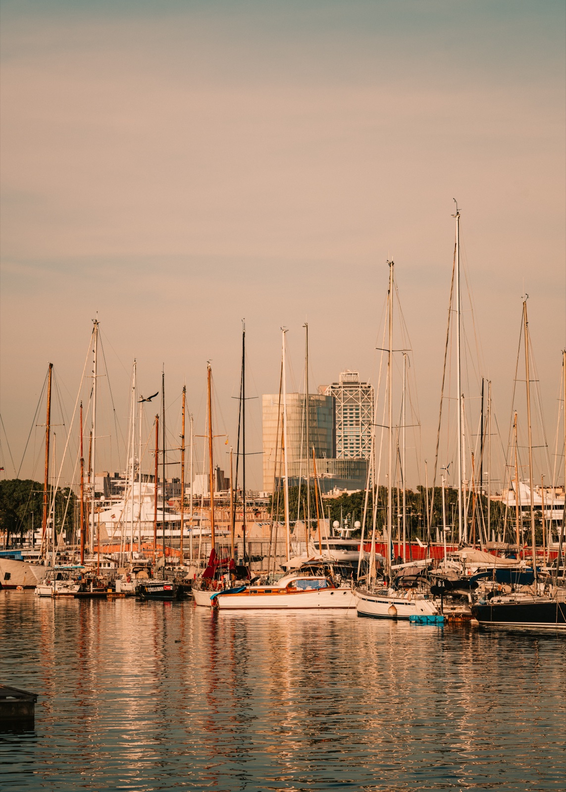 Sailing boats moored in the marina in warm evening light, with towers beyond and reflections on the water