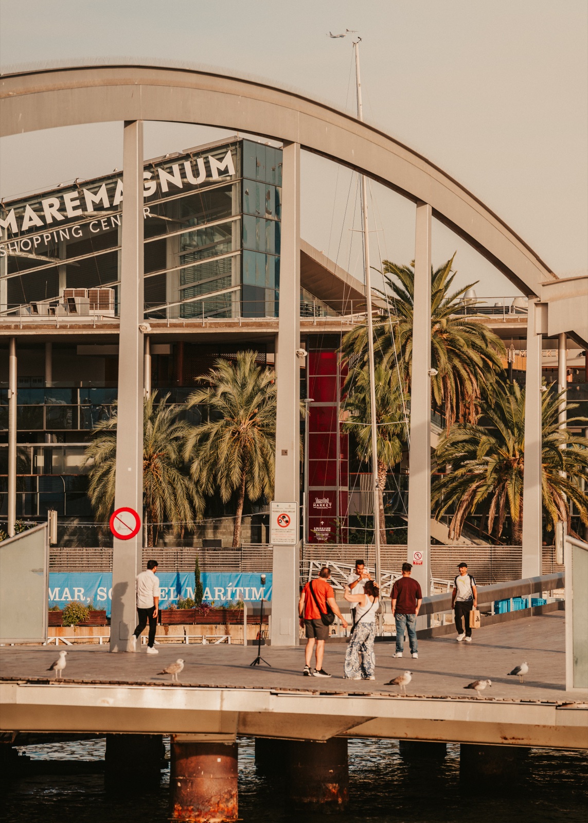 People and gulls on the Rambla de Mar footbridge beneath its arch, with the Maremagnum and palm trees behind