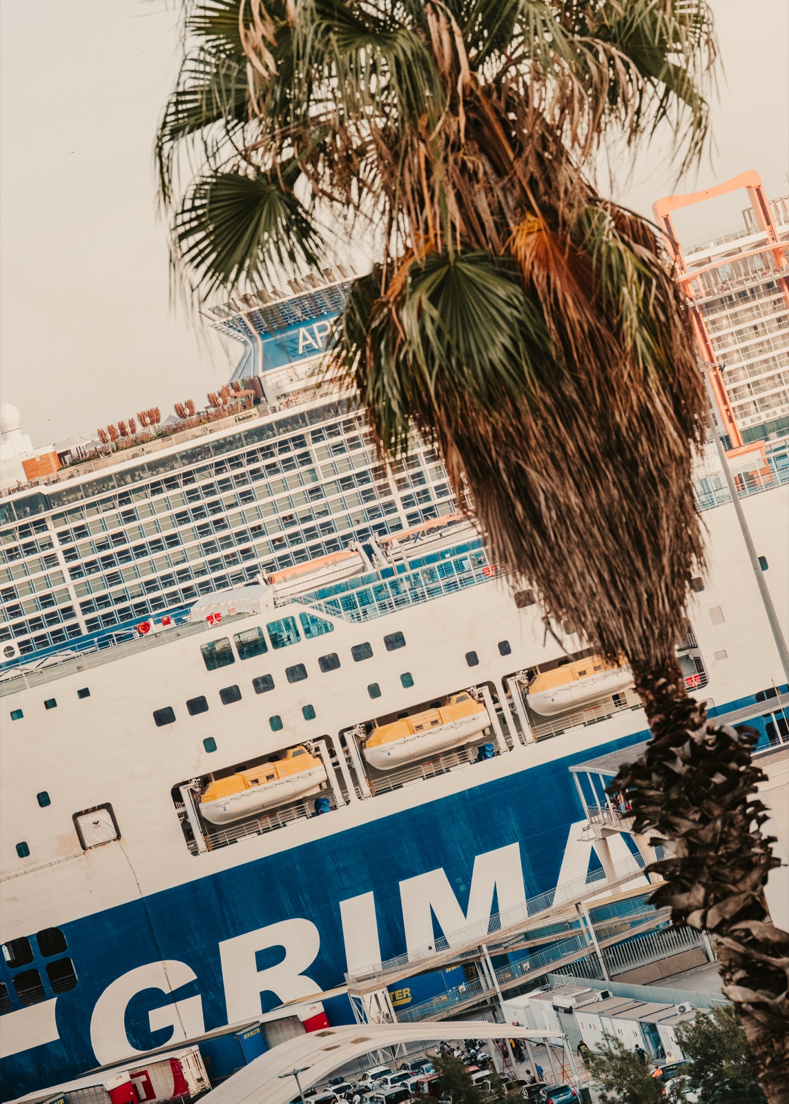 A palm tree in front of a ferry and a cruise ship moored in the port, seen at a tilt