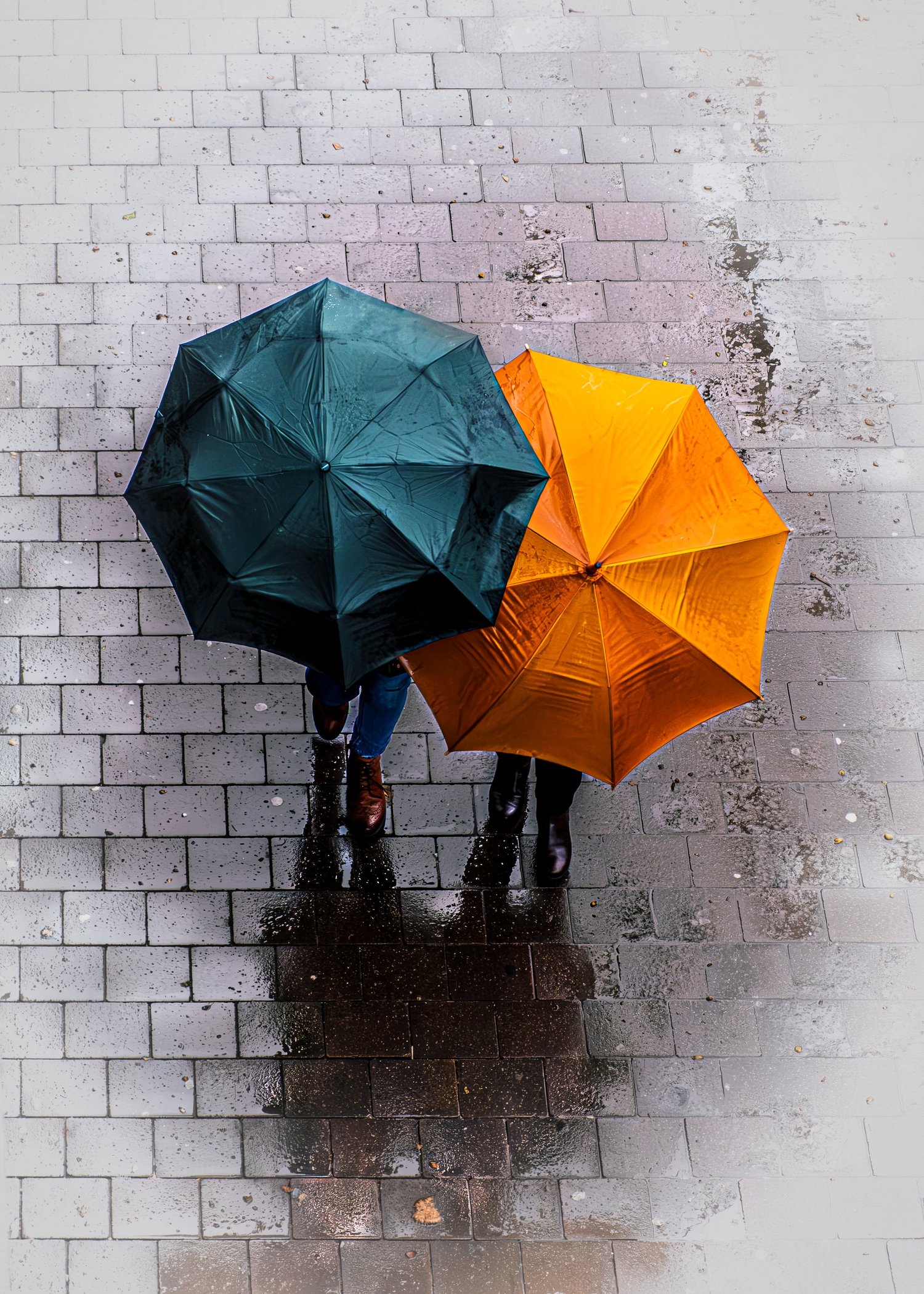 Rainbound Hearts